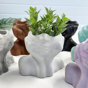 May include: A collection of small, unique, concrete planters in various colors, including white, brown, black, purple, and blue. One planter is shown with a small green plant.