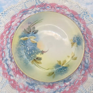Prussia Royal Rudolstadt Forget-Me-Not Floral Antique Hand Painted Plate