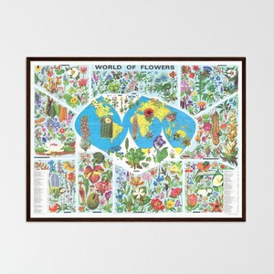 Impressão botânica mapa do vintage arte da parede decoração floral impressão de flores gráfico botânico mapa do mundo presente de inauguração botânico