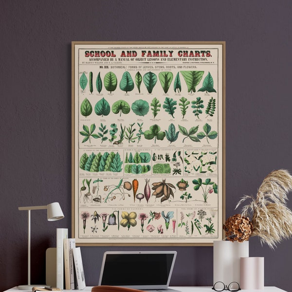 Botanischer Druck botanischer Vintage Chart Küche Kunstdruck botanisches Poster florales Wanddekor botanisches Kunst Poster Biologie Wand Drucke