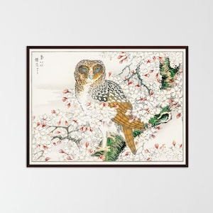 Vintage Japanese print owl art bird lover print botanical wall decor owl poster Japanese art home decor Japanese poster gift