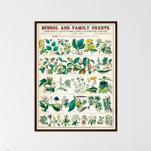 Botanische print botanische vintage grafiek keuken kunst print botanische poster bloemen muur decor botanische kunst poster biologie muur prints