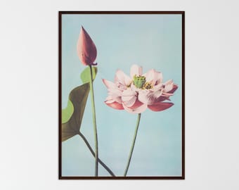 Vintage Japanese Lotus Flower Print, Zen Wall Art Decor