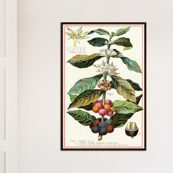 Vintage Coffee Print Botanical Poster Vintage Kitchen Decor Food Poster Coffee Poster Birthday Gift Idea Housewarming Botanical Wall Art