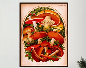 Vintagetryck med svamp, botanisk affisch från 1877, köksväggkonst