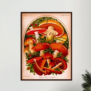 Antique mushroom print botanical wall art mushroom vintage poster kitchen wall decor vintage fungi print
