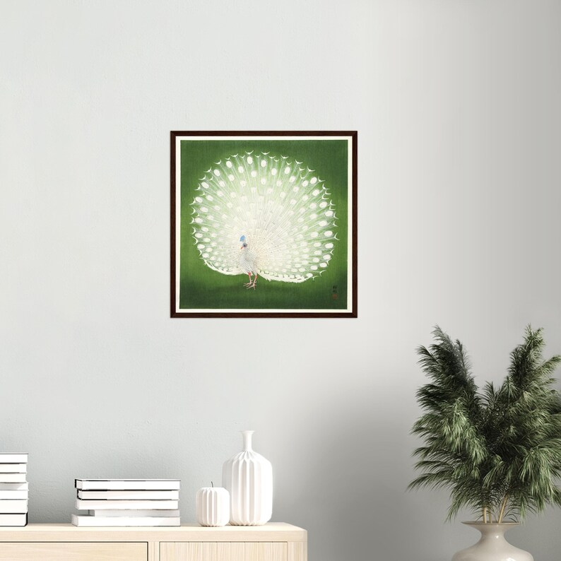 May include: A white peacock with its tail feathers spread out in a fan shape. The peacock is standing on a green background.
