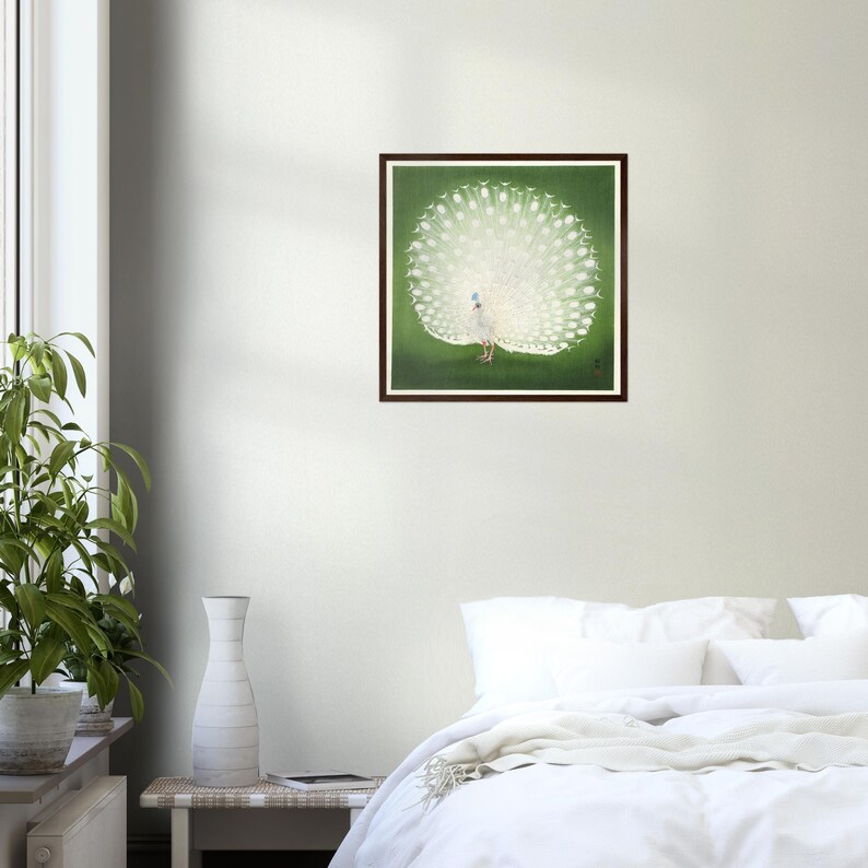 May include: A white peacock with its tail feathers spread out in a fan shape. The peacock is standing on a green background.
