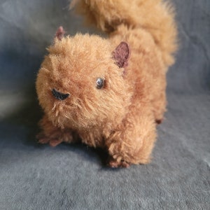 May include: A brown plush squirrel toy with a fluffy tail. The squirrel has black eyes and a black nose.