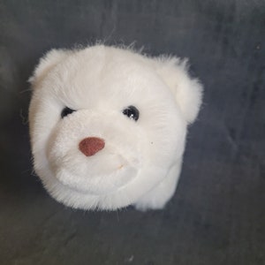 Peut inclure: Ours en peluche blanc polaire avec des yeux noirs et un nez brun.