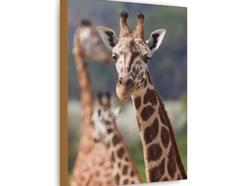 Canvas Wall Art Giraffe Wall Art Decor Giraffe  On Canvas For Home Or Office Gift For Home Or Office