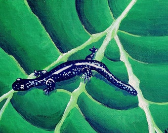 Silly Salamander - Art Print