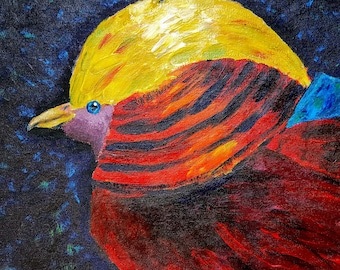 Golden Pheasant - Art Print
