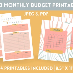 2023 Digital Monthly Budget Planner and Financial Calendar, Instant Download, Monthly Finance Tracker, Paycheck Budget Template, 8.5” x 11”