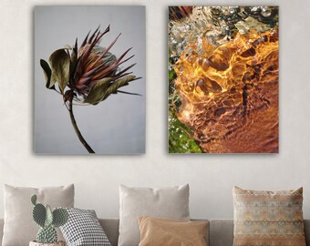 Flower, Water, Wall Art, Set of 2, Digital, Print, Downloadable, Macro Art