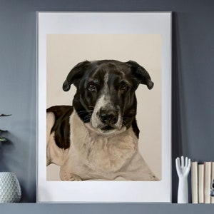 Custom Pet Portrait, Animal Art, Colored Pencil Portrait, Commission from Photo