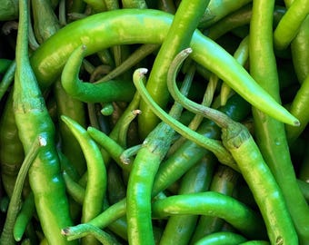 thumbnail image 2 of HEIRLOOM Finger Hot Chilli Pepper Seeds - 50+ Organic, High Yield, Premium Strain, USA Grown 2 of 6