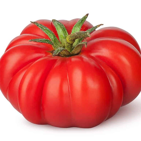 40 giant delicious beefsteak tomato seeds, free postage