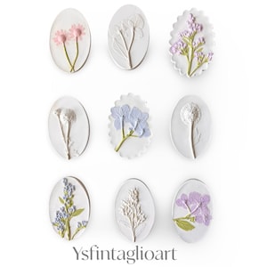 DIY Framing Floral Botanical Intaglios – Unique Plaster Flower Art for Custom Home Decor