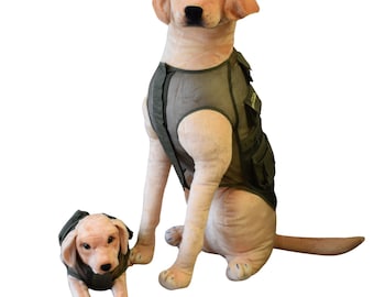 Jr Bark Ranger Vest - Park Ranger Green