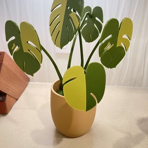 Monstera coaster set