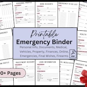 'Notfall Life Mappe': Ausdruckbarer Medizin-, Haushalts- und Lebensplan (PDF)