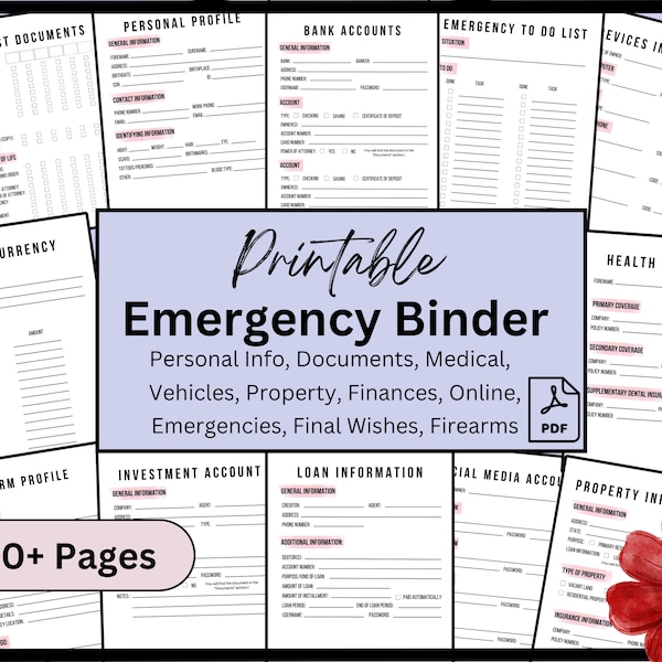 'Notfall Life Mappe': Ausdruckbarer Medizin-, Haushalts- und Lebensplan (PDF)