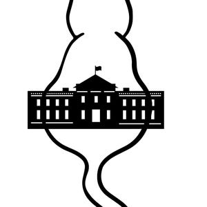Wybory 2024 SVG PNG Głosuj Kot z Białym Domem Kamala Harris Projekt inspirowany wyborami Naklejki T-shirt Guziki Torby