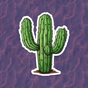 Pegatina de vinilo Saguaro / Calcomanía de botella de agua / Pegatinas de cactus / Calcomanía de matraz hidro / Pegatinas botánicas / Regalo latino lindo / Pegatina para computadora portátil