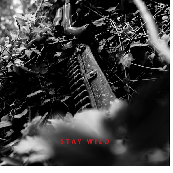 38 RIFLE (STAY WILD)