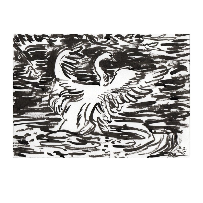 Swan Ink Drawing Hand-drawn Swan Ink Illustration – Fine Art Nature Print (digital ...