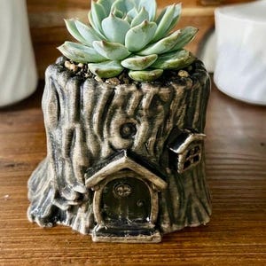 Peut inclure: Une petite plante succulente dans un pot décoratif en forme de souche d'arbre avec une porte et une fenêtre de fée. Le pot est marron et gris, avec un motif d'écorce texturée. La succulente a des feuilles vert pâle.