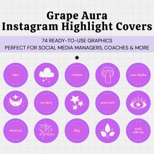 Grape Aura Aesthetic Instagram Highlight Covers • Instagram Story Icons • Purple Pink Design • Aesthetic Social Media Manager Graphics