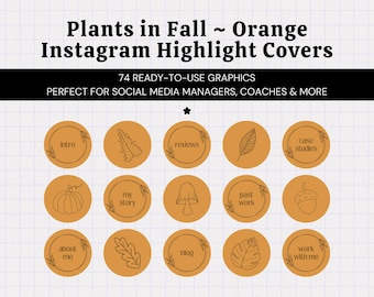 Orange Fall Autumn Aesthetic Instagram Highlight Covers • Instagram Story Icons • Pumpkin Orange Background • Highlight Section Graphics