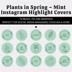 Copertine di Instagram Highlight con estetica primaverile verde chiaro • Icone di storie di Instagram • Sfondo verde menta • Grafica della sezione Highlight