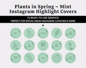 Light Green Spring Aesthetic Instagram Highlight Covers • Instagram Story Icons • Mint Green Background • Highlight Section Graphics