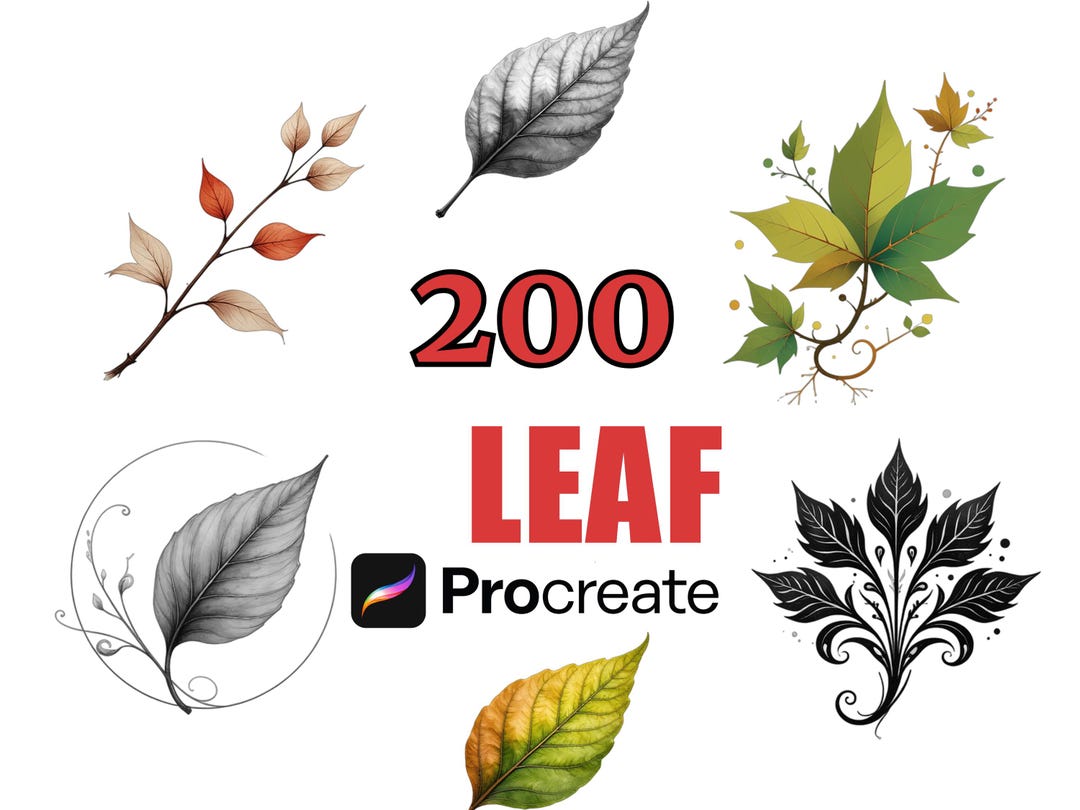 200 Procreate Leaf Stamps Brush Set, Botanical Clip Art, Nature Designs ...