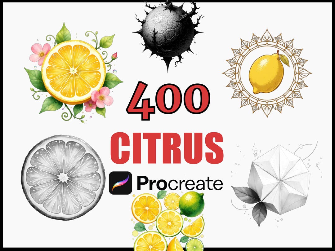 400 Citrus Procreate Stamps Brush Set, Tropical Fruit Designs, Citrus ...