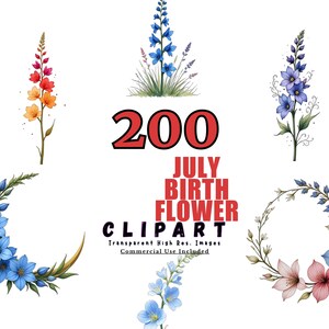 July Birth Flower Clipart Bundle - 200 Watercolor Floral Designs, Summer Blooms, Floral Graphics for Birthdays & Celebrations