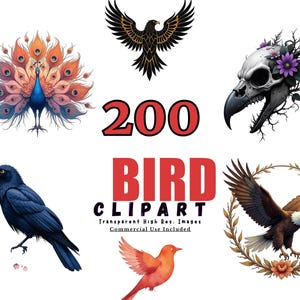 200 BIRD Clipart Bundle, Watercolor Birds, Cute Bird Illustrations, Bird PNGs for Crafts, Digital Art, Nature Clip Art