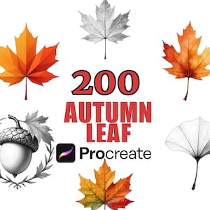 Op de afbeelding: Een afbeelding met diverse herfstbladeren in oranje, geel en grijstinten. De tekst "200 AUTUMN LEAF Procreate" is prominent aanwezig, wat duidt op digitale kunstobjecten.