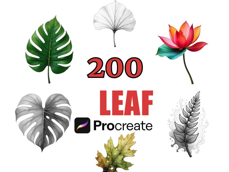 200 Procreate Leaf Stamps Brush Set, Botanical Clip Art, Nature Designs ...