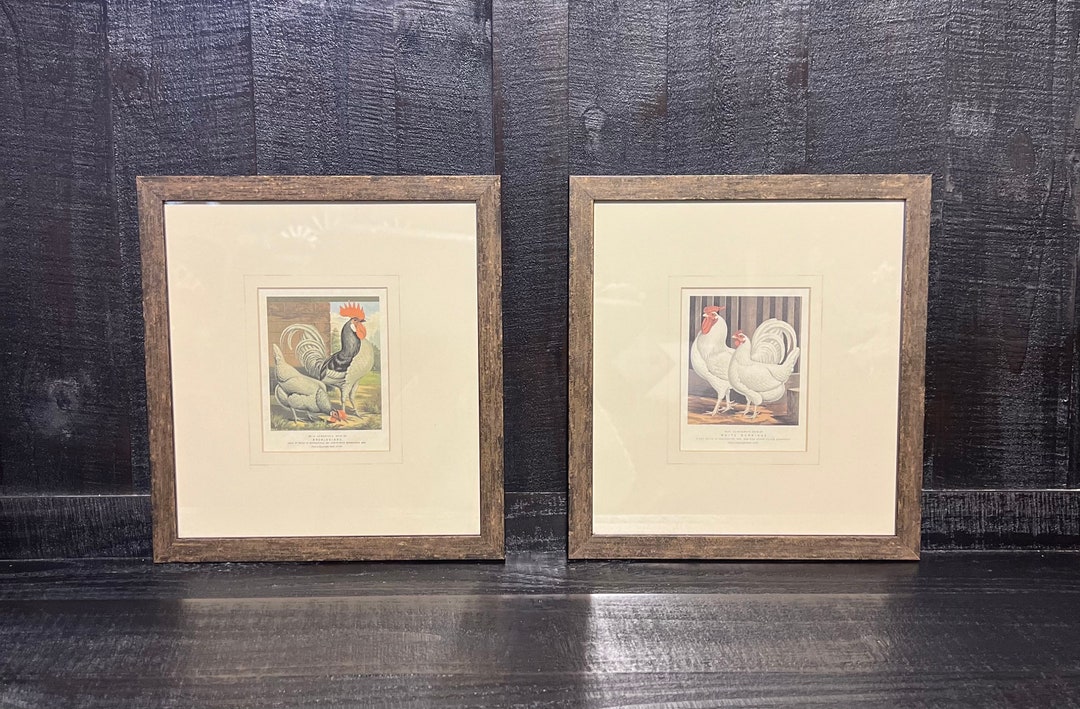 Pair of Framed Vintage Chicken Prints Featuring Prize Winning Etsy