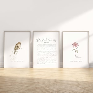 Conjunto de 3 Mateo 6:25-34 No te preocupes, mira los pájaros, considera los lirios, versículos bíblicos, arte de pared imprimible, arte de cita de las Escrituras en acuarela