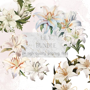 Lírio Clipart PNG Lírio Lago Ilustração em aquarela Lírio Decoração de casamento Lillies SVG Pacote Flor branca Lírio Download instantâneo Uso comercial