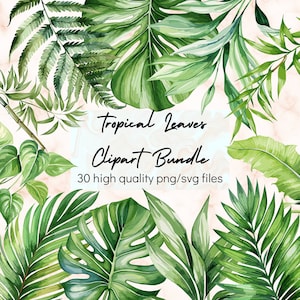 Aquarelle feuilles tropicales PNG Clipart feuilles SVG Jungle feuilles PNG Tropical fête palmier Monstera Clipart verdure usage Commercial