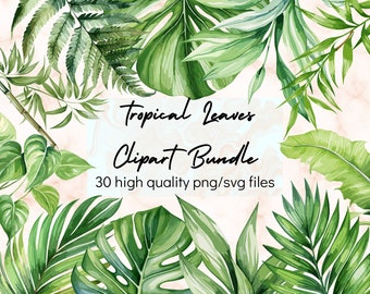 Watercolor Tropical Leaves PNG Clipart Leaves SVG Jungle Leaves PNG Tropical Party Palm Tree Monstera Clipart Greenery Commercial Use