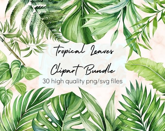 Aquarell Tropische Blätter PNG Clipart Blätter SVG Dschungel Blätter PNG tropische Party Palme Monstera Clipart Grün Kommerzielle Nutzung