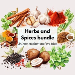 Aquarel Kruiden en Specerijen PNG Keuken Cliparts Kruiden SVG Boerderij Illustratie Kookboek Specerijen Paprika Basilicum Curry Bladeren Commercieel