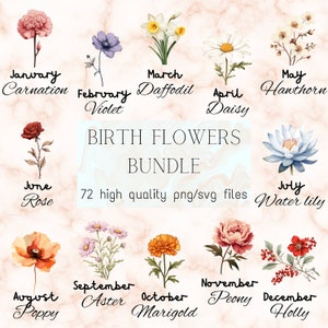 Mes de nacimiento Flor PNG Paquete Flor SVG Flores secas Prensado Boho Nacimiento Flores Uso comercial Acuarela Botánica Clipart Mega paquete